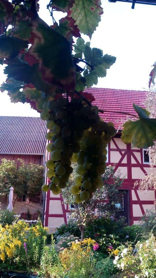 Haselbachstrasse 6 Appartement Ebensfeld Buitenkant foto